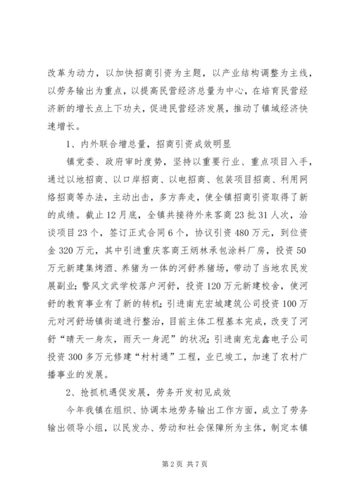 乡镇民营经济工作总结.docx