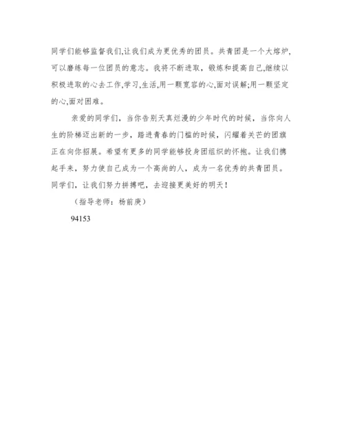 新团员代表发言稿.docx