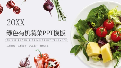有机绿色蔬菜工作汇报通用PPT模板