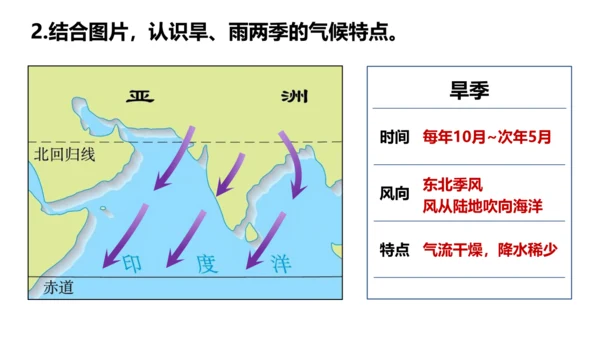 7.3 印度（第2课时）（课件29张）-七年级地理下册（人教版）