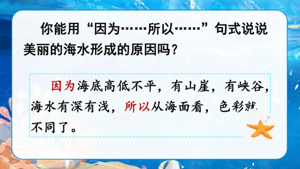 第18课《富饶的西沙群岛》课件