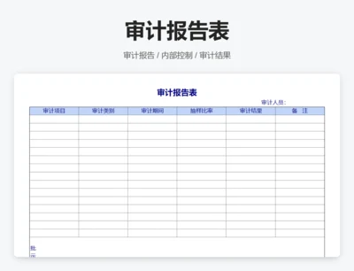 审计报告表