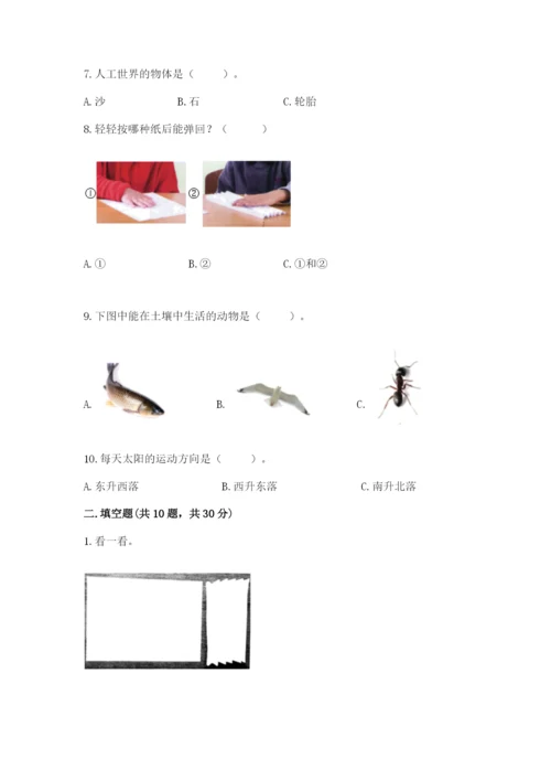 教科版二年级上册科学期末考试试卷及参考答案（培优a卷）.docx