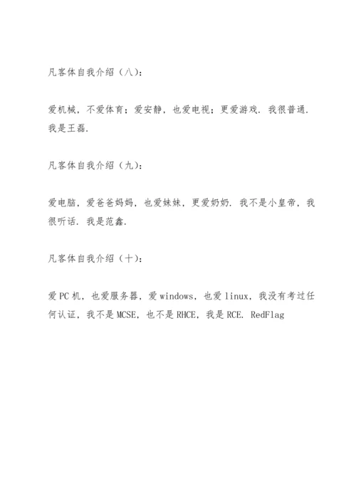 凡客体自我介绍.docx