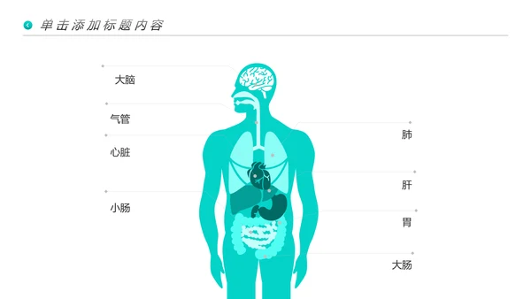 清爽医生医疗医学类医院宣传汇报PPT模板