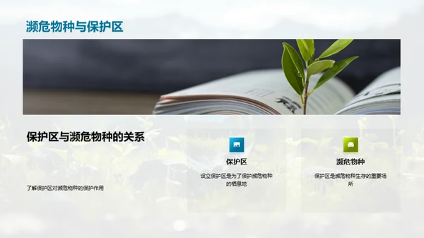 探秘生态环境