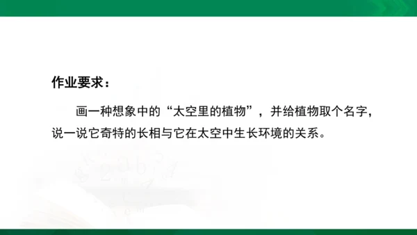 人教版一年级下册美术11《太空里的植物》精品课件