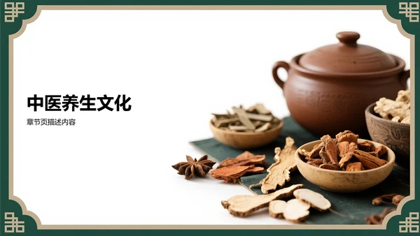 中医药基础知识介绍PPT模板