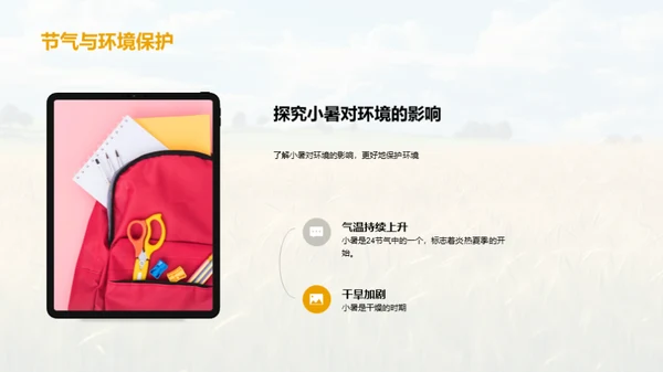 小暑：夏季的序幕