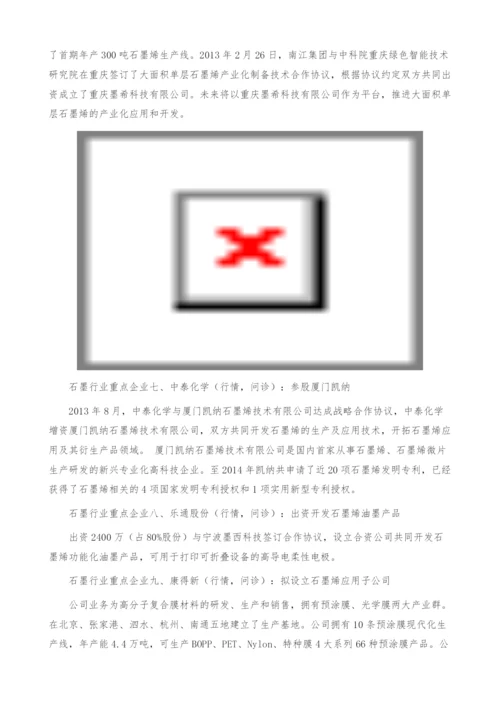 石墨行业重点企业-产业报告.docx