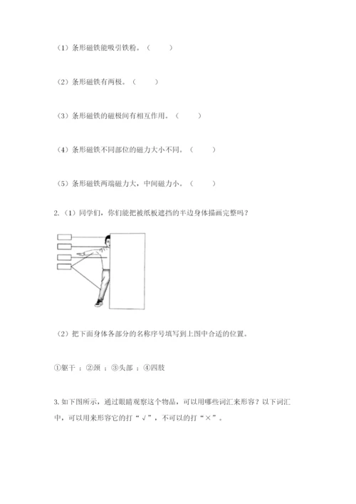 教科版二年级下册科学期末测试卷（word）.docx