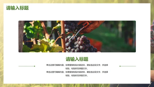 简约实景农民丰收佳节工作汇报PPT模板
