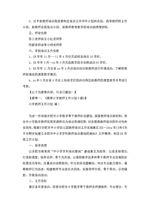 小学教师见习工作计划4篇