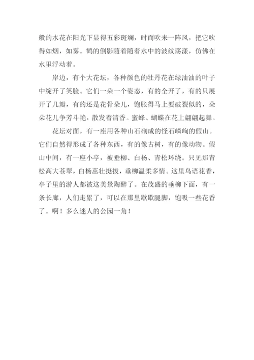 四年级作文公园一角-1.docx