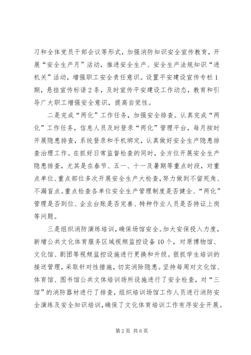 县文广局XX年安全生产自查报告.docx
