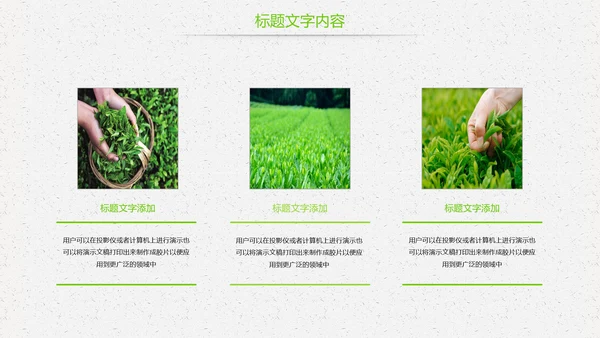 唯美绿色茶园茶文化品茶论道PPT模板