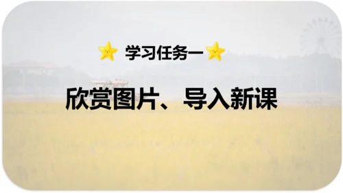 第6课 《秋天的雨》 课件