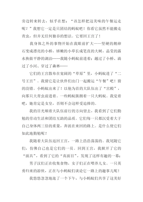 蚂蚁作文-10.docx