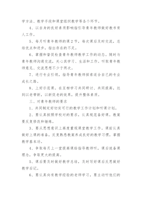 骨干教师指导青年教师工作计划.docx