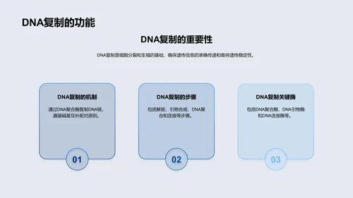 DNA结构与功能PPT模板