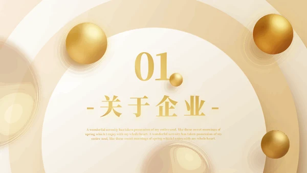 金色舞台商业项目营销策划书通用PPT模板