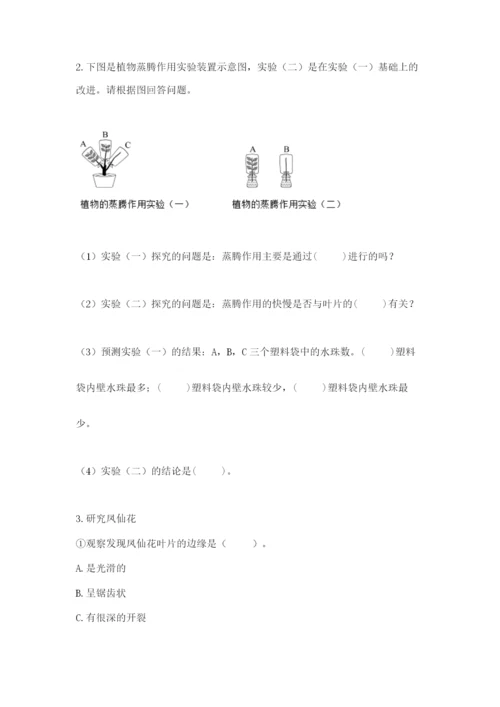 科学四年级下册第一单元《植物的生长变化》测试卷（含答案）.docx