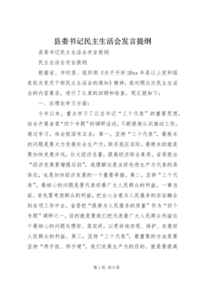 县委书记民主生活会发言提纲 (5).docx