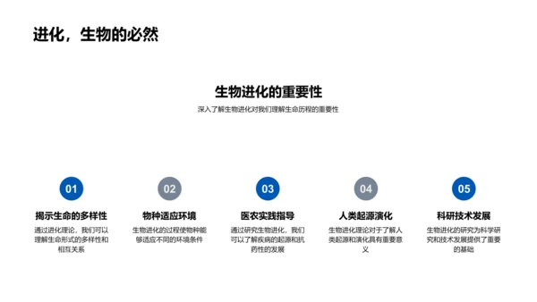 生物进化原理讲解PPT模板