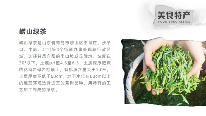 青岛之旅旅游攻略通用PPT模板