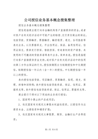 公司授信业务基本概念搜集整理.docx
