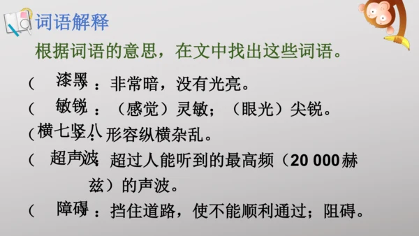 6 夜间飞行的秘密   课件