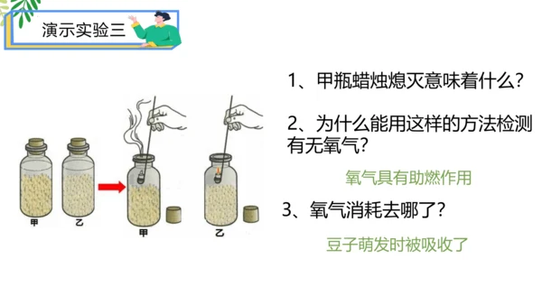 3.5.2 绿色植物的呼吸作用-2023-2024学年七年级生物上册优质课件（人教版）(共18张PP