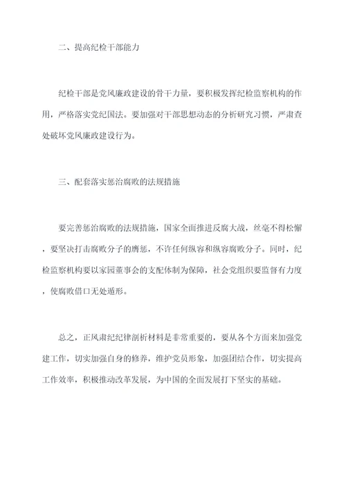 正风肃纪纪律剖析材料