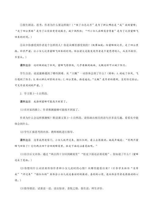 14《蜜蜂》（创新教案+课堂活动卡+课前预学案）