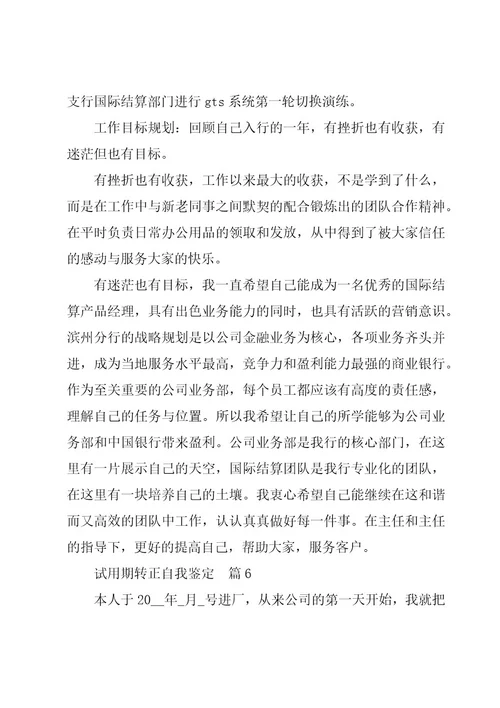 试用期转正自我鉴定6篇