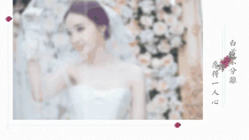 致爱情恋爱婚礼纪念日相册通用PPT模板