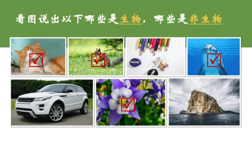 七上第一单元 生物和生物圈复习课件(共26张PPT)