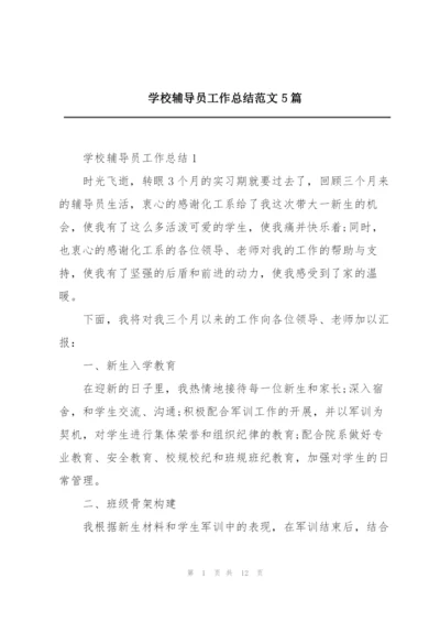 学校辅导员工作总结范文5篇.docx