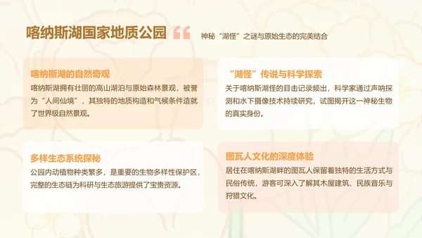 芳菲呆呆鲨橙色卡通风新疆旅游攻略