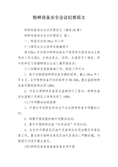 特种设备安全会议纪要范文_1.docx