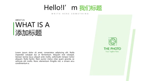 绿色时尚医药代表工作汇报动态PPT