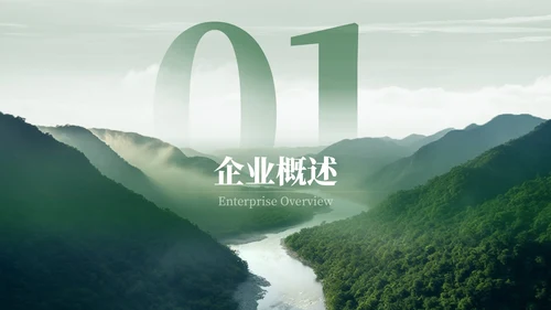 绿色新能源风格汇报总结PPT模板