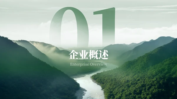 绿色新能源风格汇报总结PPT模板