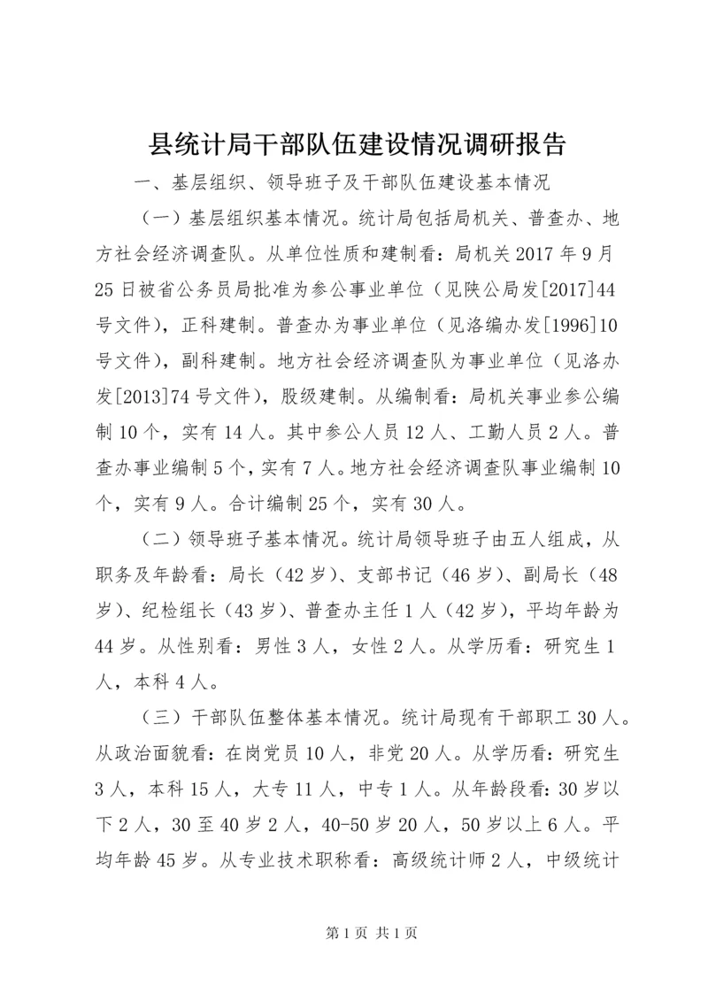 县统计局干部队伍建设情况调研报告.docx