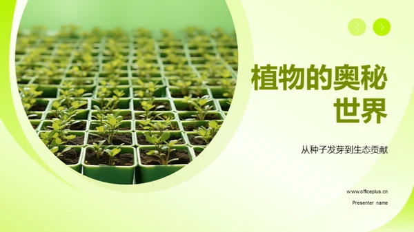 植物的奥秘世界