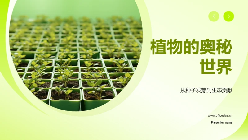 植物的奥秘世界