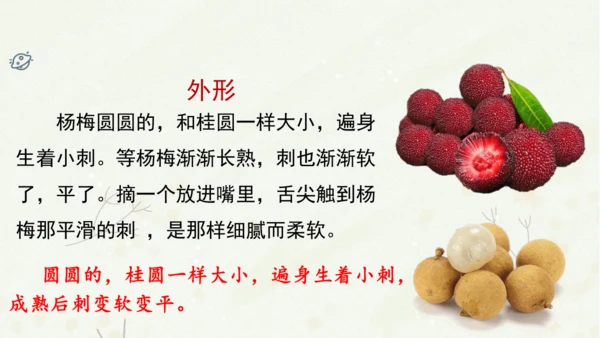 统编版三上第五单元 习作例文：我爱故乡的杨梅   课件