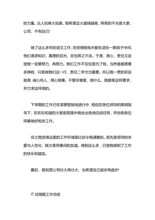 语文编辑试用期工作总结.docx