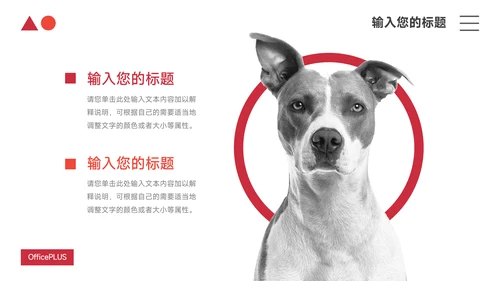 红色极简高级宠物业实习报告PPT模板