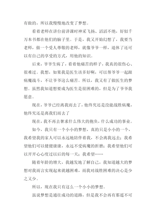 小小的梦想作文-2.docx